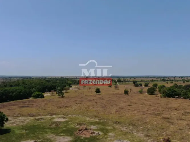 Fazenda 150 alqueires (726 hectares) Nova Crixas - Go