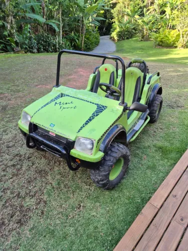 Mini buggy - infantil/adulto - Motor fapinha