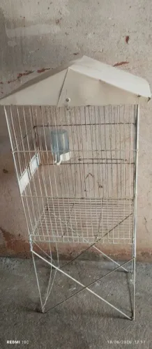 Vendo viveiro