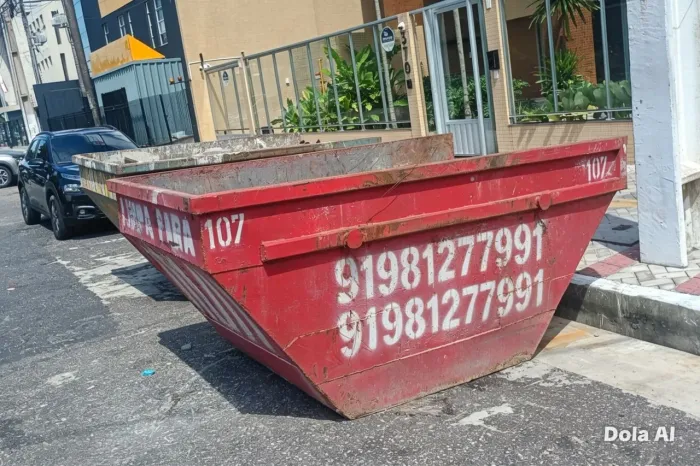 Caixa de entulhos e container 