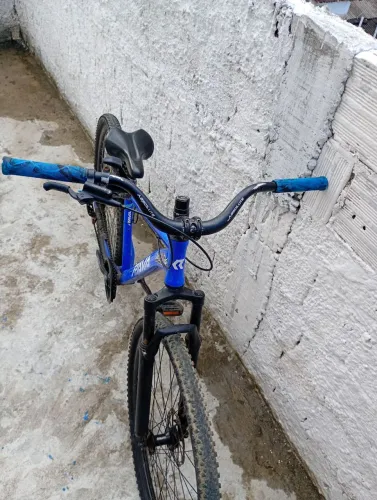 Bicicleta rava aro 29