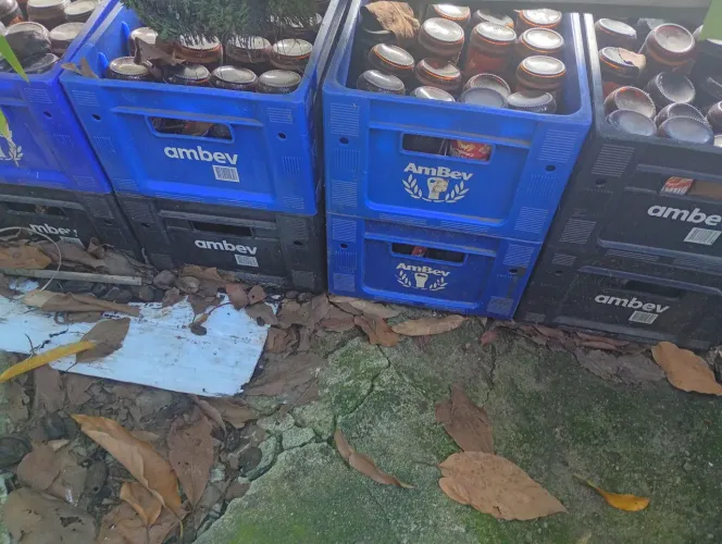 Caixa completas de cracudinha 