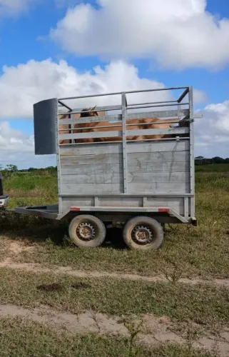 Reboque de 2 cavalos