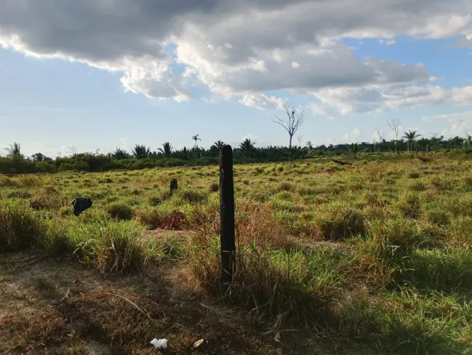 Vende-se 10 alqueires 17 km depois da vila nova Samuel 170 mil