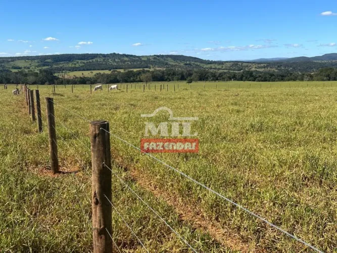 Fazenda em Jaraguá-GO (33 Alqueires)