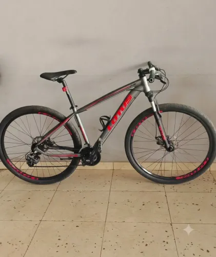 Bicicleta Lotus Aro 29
