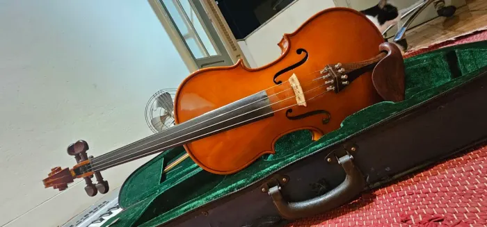 Viola de arco n41