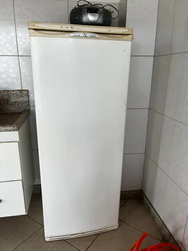 Freezer vertical