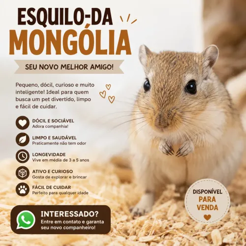 Esquilo da Mangólia