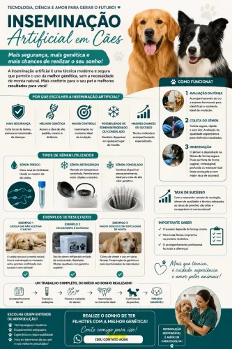 Inseminação artificial canina