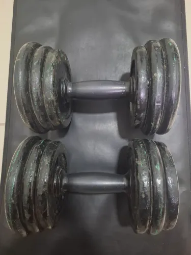 Alteres 17kg cada 1 .