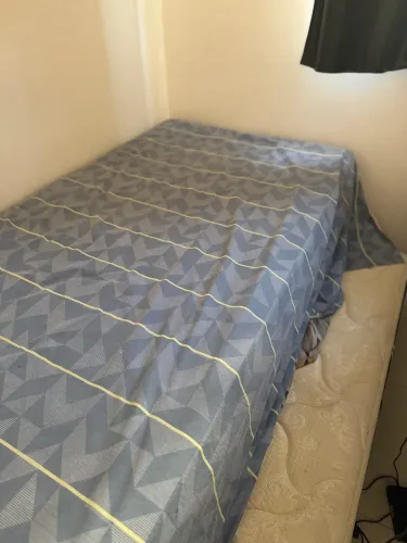 Bicama de solteiro