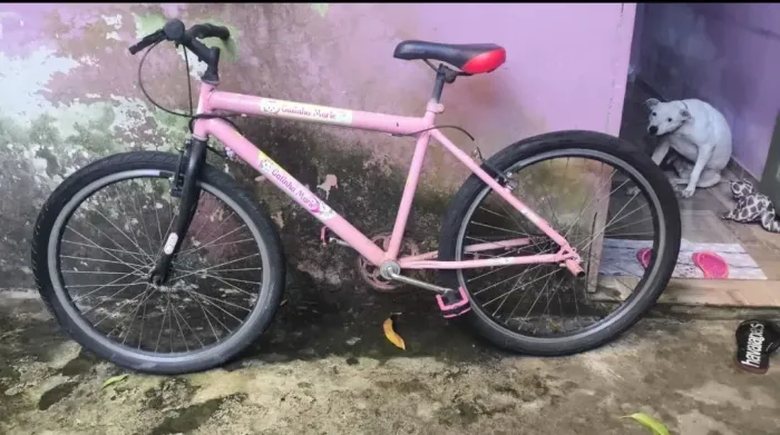 Bicicleta rosa