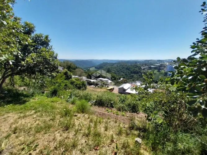 Terreno com excelente vista ao Leste