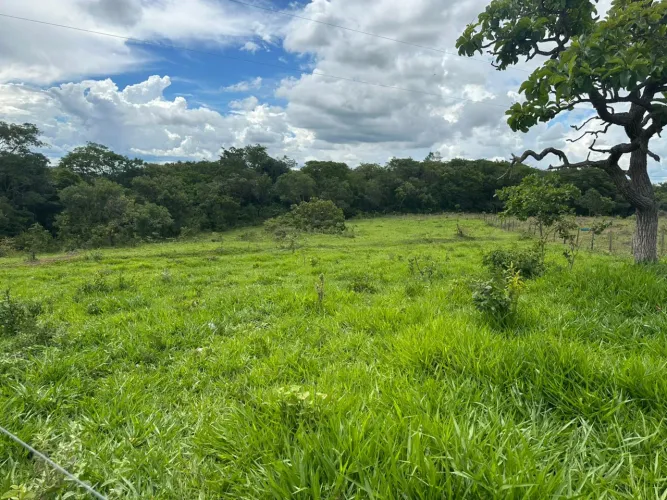 Oportunidade em Goiânia: Chácara de 21.780 m² (0,45 Alqueire) - Terra Nua