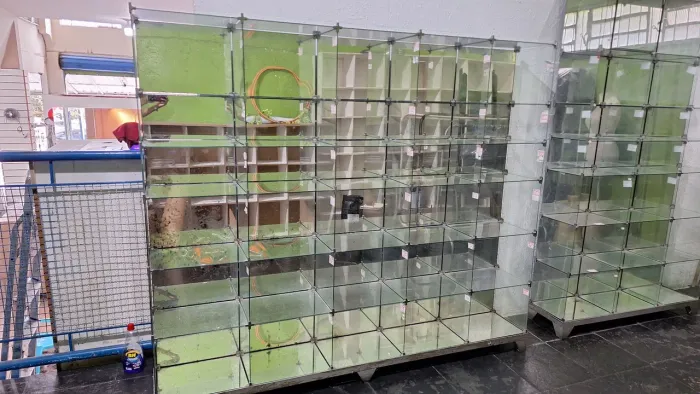 Vitrine expositora de vidro (nicho)
