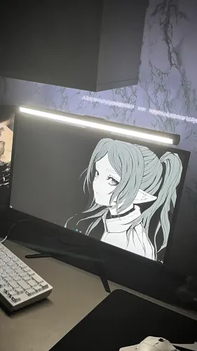 MONITOR 100hz