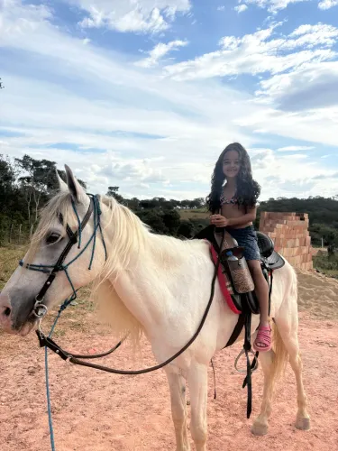 Cavalo mangalarga
