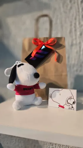 Snoopy kit presente