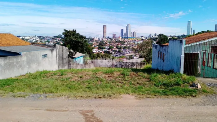 Terreno à Venda - 14mx33m, 462m² De área Total - Vila Coronel Claudio - Uvaranas