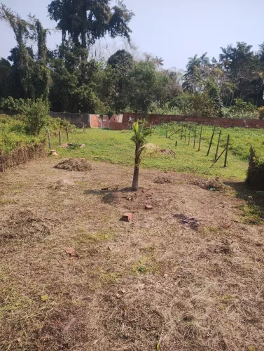 Terreno no parque mambucaba
