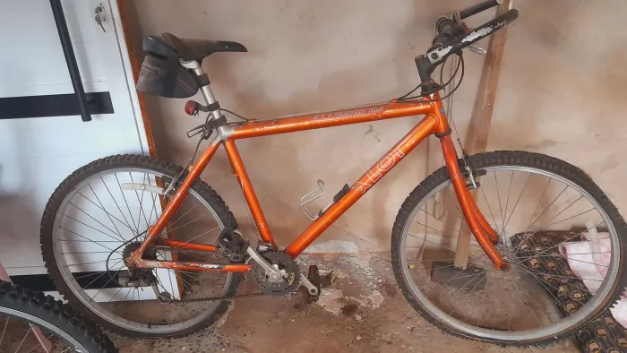 BICICLETA 