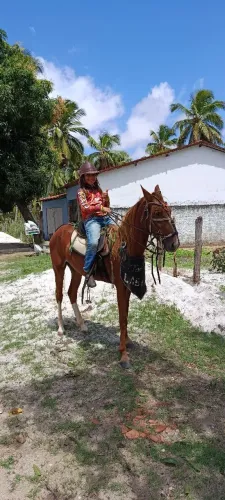 Pordo primeira munda pra vender