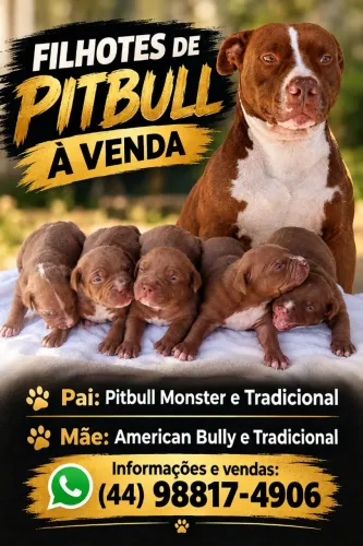 Pitbull