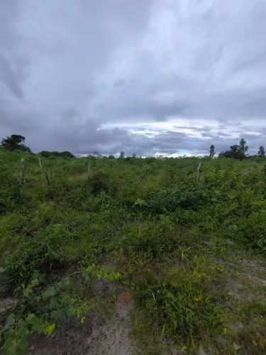 Vendo TERRENO em BARREIRINHAS-MA Beira de Pista
