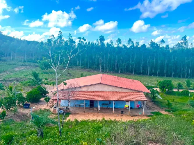 Sítio à Venda em Araçás/BA