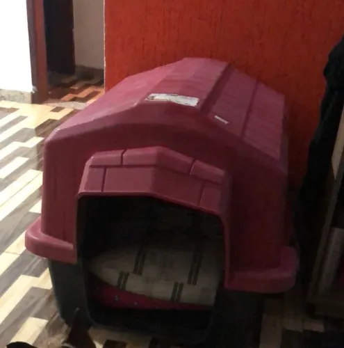 Casa cachorro grande