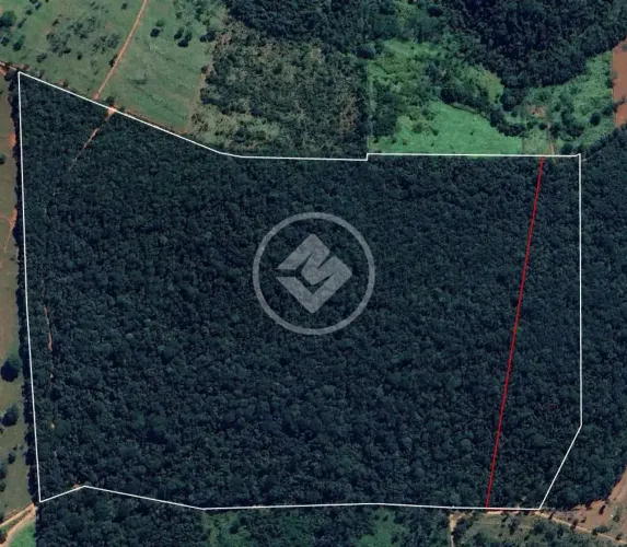 IMÓVEL RURAL Á VENDA codigo: 156453