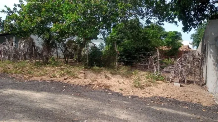 Terreno localizado no Bairro Mosqueiro
