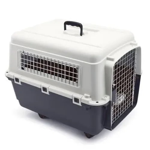 Caixa Transporte Pet Cão Gato Avião Padrão Iata Tamanho 4 N4