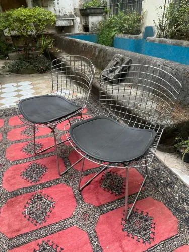 Cadeiras Tok&Stok modelo Bertoia (duas unidades) 