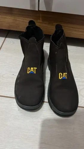 Botina cat