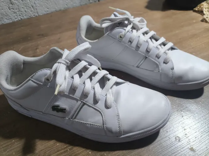 Tênis lacoste original 