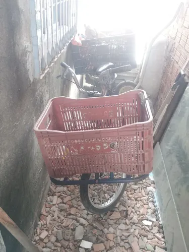 Bicicleta cargueira