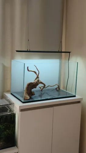 Aquário 70L com Móvel
