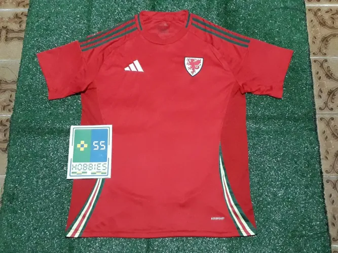Camisa País de Gales 2024-2025 Home