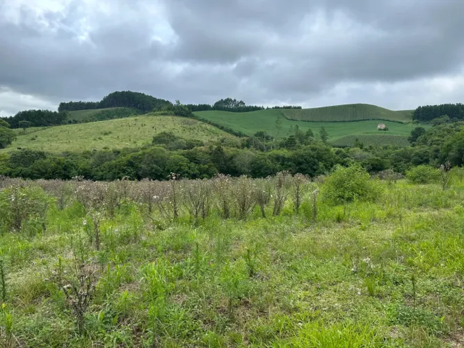 Terreno a Venda em Campo Alegre/SC.