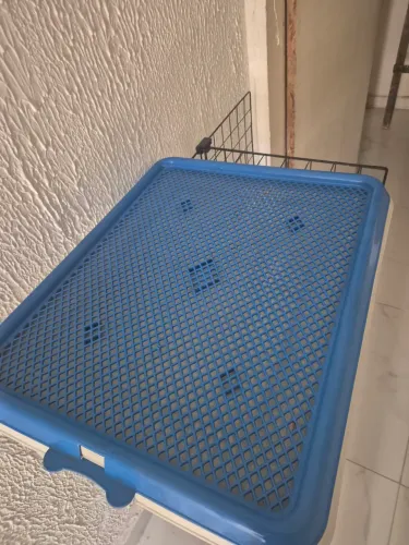 Sanitario para cachorro