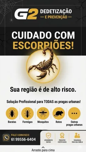 Dede tização