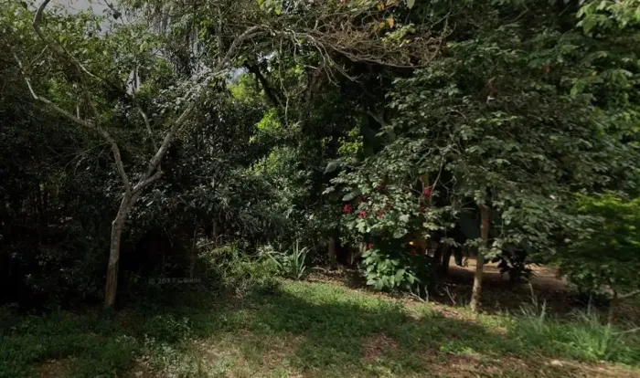 Sítio à venda, Recanto do Sabia II - Jaboticatubas/MG