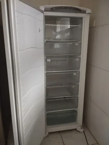 Freezer vertical