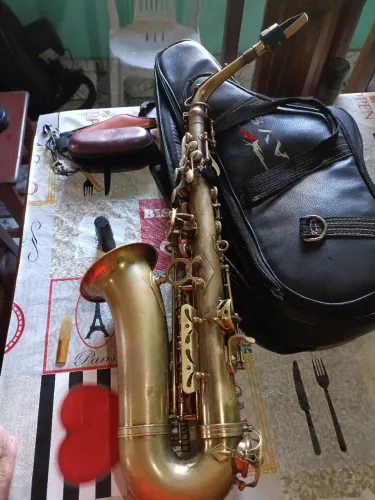 SAX ALTO SHELTER