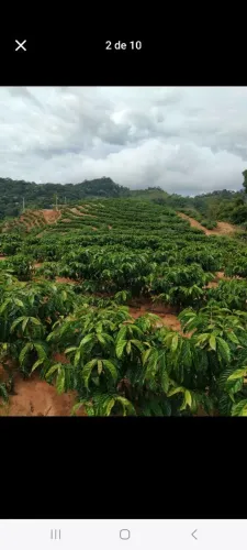 Terreno santa teresa es 450 mil