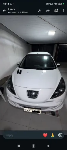 Peugeot 207 XR 1.4 Flex 8V 5P 2013