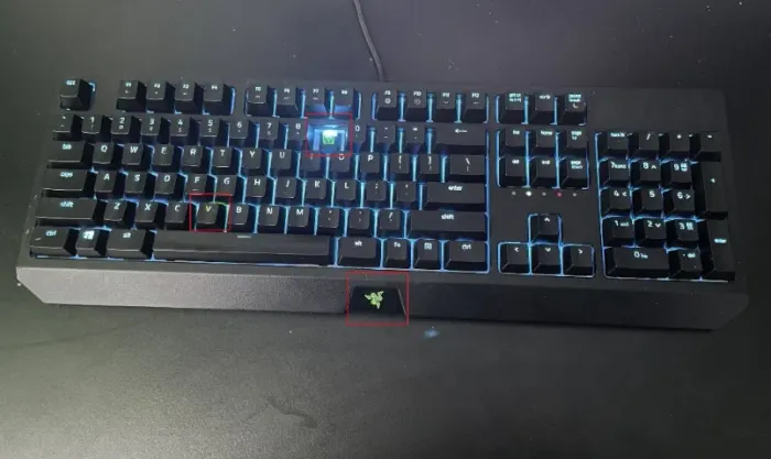 Teclado Razer BlackWidow 2019
