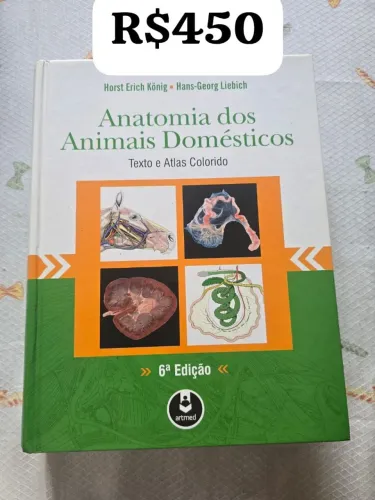 Livros Usados em Excelente Estado